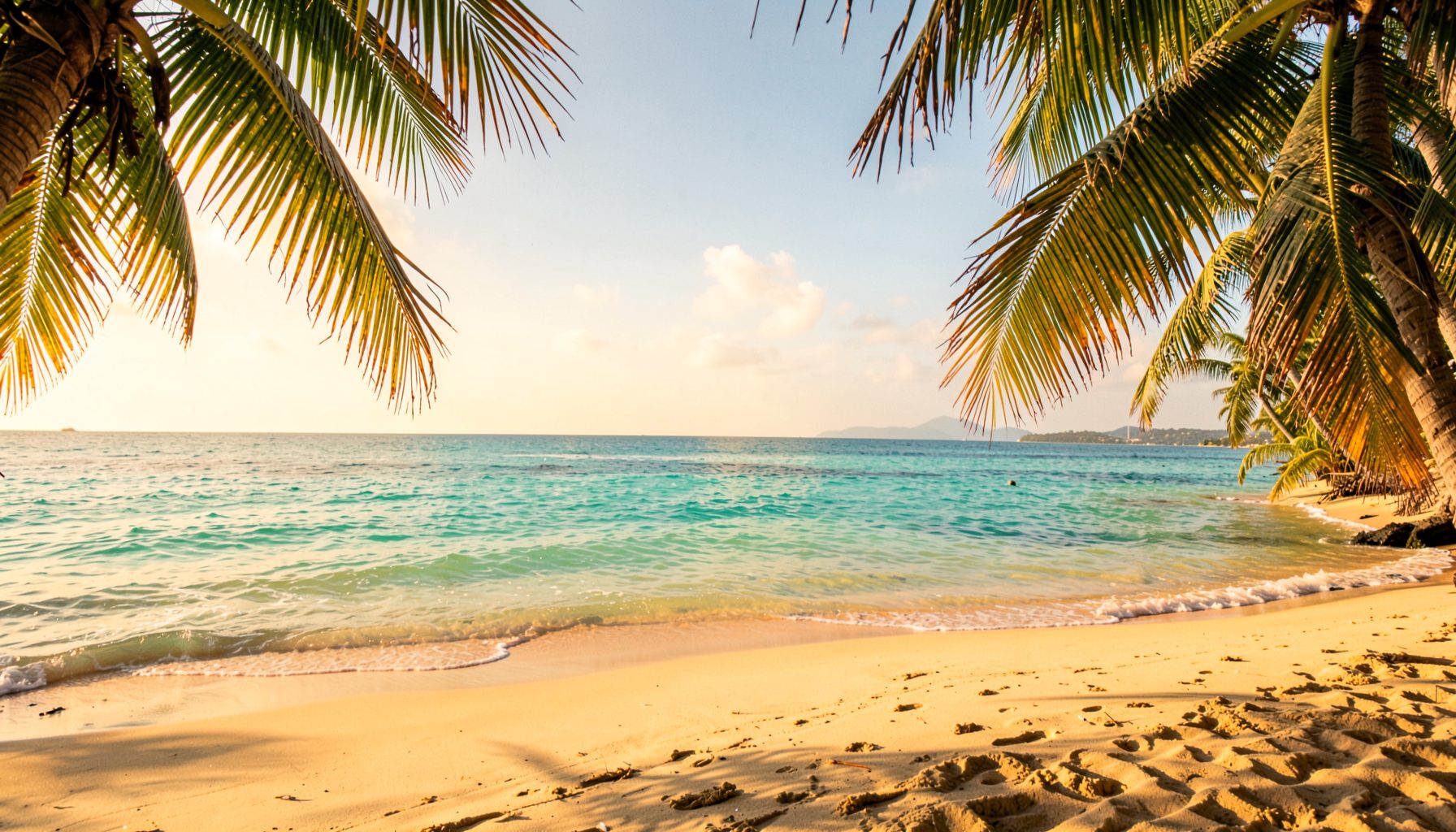 A quiet tropical beach with golden sand and turquoise water, palm fronds framing the edge